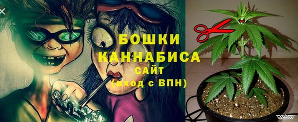 метадон Зеленодольск