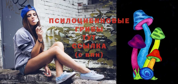 метадон Зеленодольск
