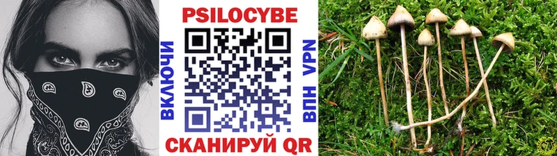 Купить Ивантеевка Галлюциногенные грибы мицелий